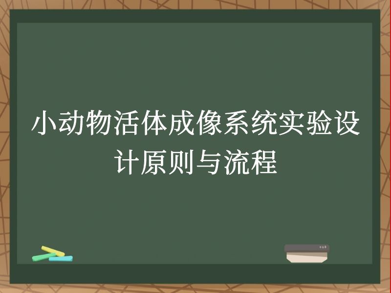 小动物活体成像系统实验设计原则与流程
